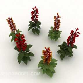 Bloeiende plant Rode bloem 3D-model