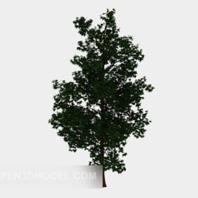 Forest High Tree 3d model