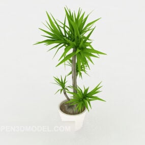 Fresh Indoor Plant 3d model