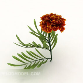 Fleur de Furong modèle 3D