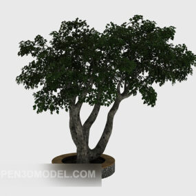 Gartengrüner Baum V1 3D-Modell