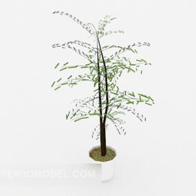 Model 3D rośliny Bonsai ogrodowej