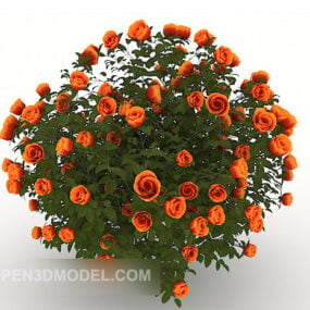 Model 3D krzewów róż ogrodowych