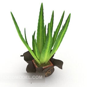Green Aloe Vera Plant 3d model