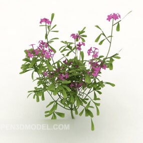 Modello 3d della pianta del fiore della cintura verde
