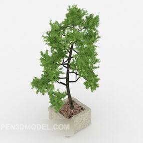 Grønn Bonsai 3d-modell