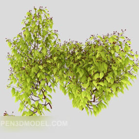 Tree Green Branch 3d model