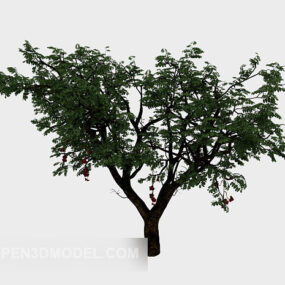 Yeşil Bitki Ağacı Geniş Yapraklı 3D model