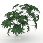 Green Diamond Leaf Plant Tree