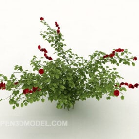Green Flower Plant Potted 3d model