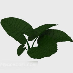 녹색 큰 잎 식물 V1 3d 모델