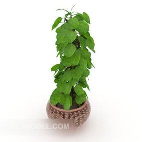 Green Leaf Indoor Potted 3D-malli