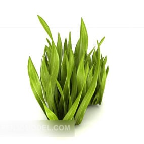 Green Leaf Outdoor Plant 3d model
