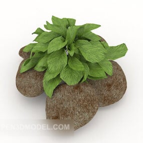 צמח חוץ ירוק עם סלע דגם תלת מימד