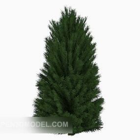 Model 3d Pinus Hijau