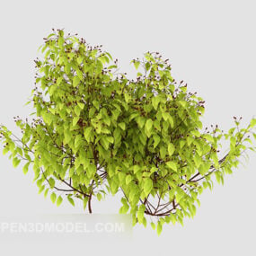 Modelo 3d de retoño de planta verde