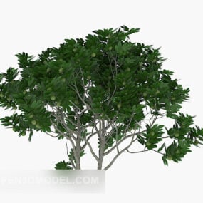 Big Green Tree Wood 3d-model
