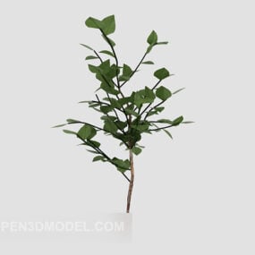 Green Tree Planting 3d model