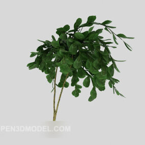 Green Branch Tree 3d model