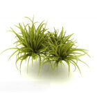 Grönt gräs liten buske V1
