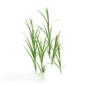 3д модель зеленой травы и зеленого листа растения