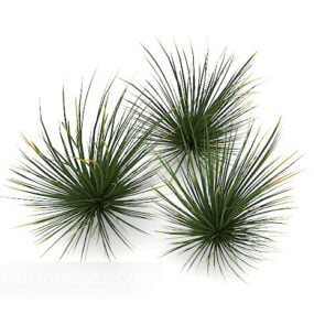 Green Bush Grass Plant דגם תלת מימד