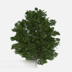 Green Green Tree 3d model