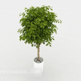 Green Home Bonsai Tree Decor 3d model