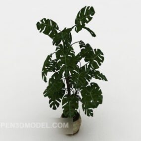 Green Indoor Plant 3d model