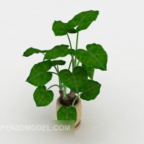 Green Indoor Potted Plant V2 3d model