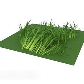 Grüne Blattpflanze Realistisches 3D-Modell