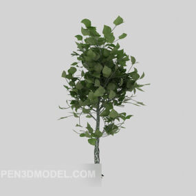 Modelo 3d de árbol joven de planta verde al aire libre
