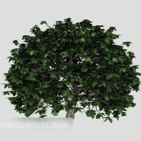 Zelený venkovní hrnkový rostlinný strom 3D model