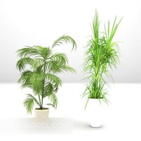 Green Plant Potted Combination 3d model