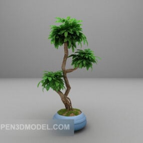 نموذج بونساي للنباتات الخضراء ثلاثي الأبعاد