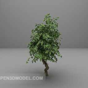Modelo 3d de hoja ancha de árbol verde