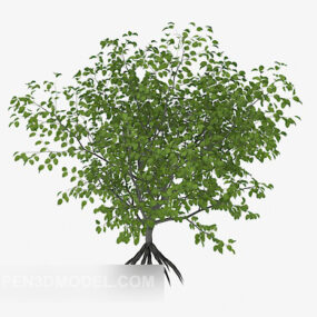 Planta verde árbol joven modelo 3d