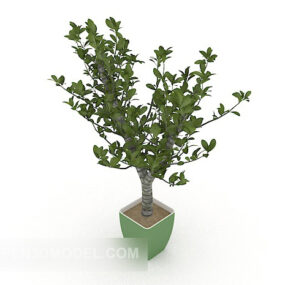Small Cactus In Pot 3d model