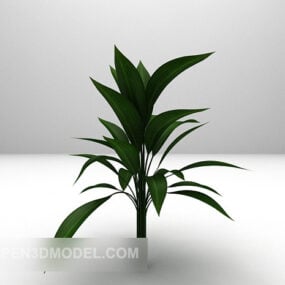 Office Indoor Green Potted Plant 3d model