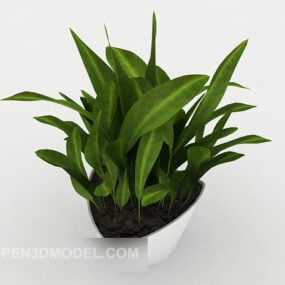 Green Potted Green Seedlings 3d model