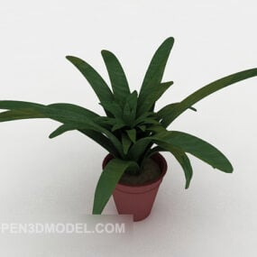3д модель зеленого растения в горшке