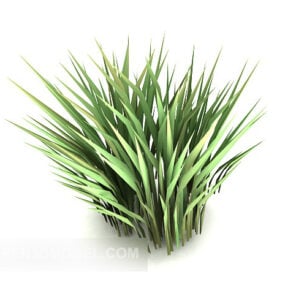 Modelo 3d de planta de folha verde ao ar livre