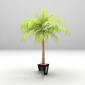 Green Tree In Pot 3d model