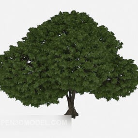 Modelo 3d de árbol verde en forma de corazón
