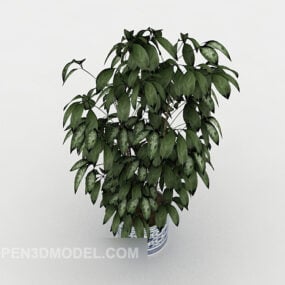 Domowy wystrój Bonsai Model 3D