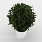 Hjemgrøn lille potteplante