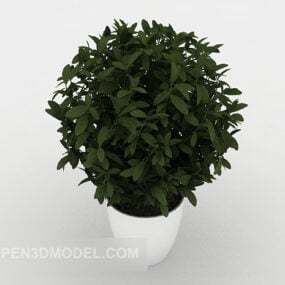 Domácí zelená malá hrnková rostlina 3D model