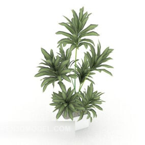 Common Home Indoor Potted Tree 3d model