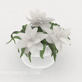 Home Potted Installation 3d model