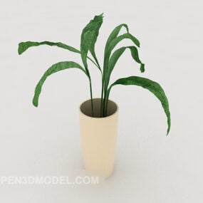 Home Potted Plant Setup 3d model